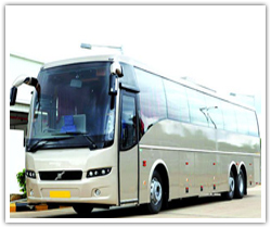 Volvo Bus 51 Seater
